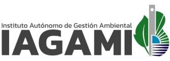 Logo IAGAMI